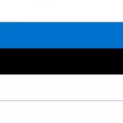 Estonia Courtesy Flag 20x30cm
