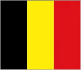 Belgia vieraslippu 20x30cm