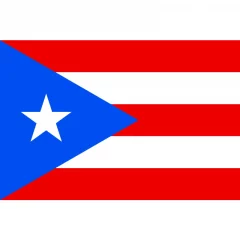 Puerto Rico vieraslippu 20x30cm