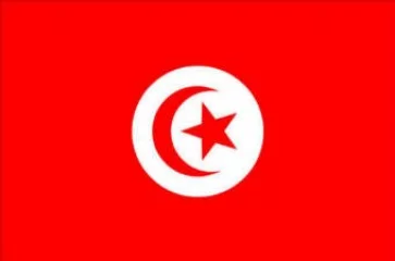 Tunisia flag  80 x 120cm