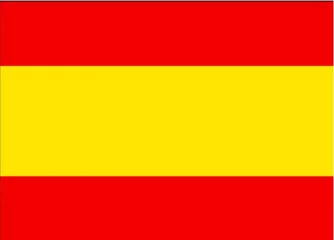 Spain flag size cm 80x120