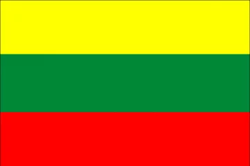 Lithuania flag  80 x 120cm
